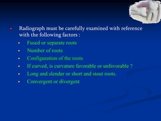 Radiograph must be carefully examined with reference
with the following factors :
Fused or separate roots
Number of roots
Configuration of the roots
If curved, is curvature favorable or unfavorable ?
Long and slender or short and stout roots.
Convergent or divergent
 