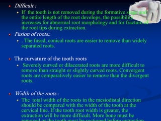 Difficult :
If the tooth is not removed during the formative stage and
the entire length of the root develops, the possibility
increases for abnormal root morphology and for fracture of
the root tips during extraction.
Fusion of roots:.
. The fused, conical roots are easier to remove than widely
separated roots.
The curvature of the tooth roots
Severely curved or dilacerated roots are more difficult to
remove than straight or slightly curved roots. Convergent
roots are comparatively easier to remove than the divergent
roots.
Width of the roots :
The total width of the roots in the mesiodistal direction
should be compared with the width of the tooth at the
cervical line. If the tooth root width is greater, the
extraction will be more difficult. More bone must be
 