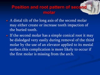 Position and root pattern of second
molar
A distal tilt of the long axis of the second molar
may either create or increase tooth impaction of
the buried tooth.
If the second molar has a simple conical root it may
be dislodged very easily during removal of the third
molar by the use of an elevator applied to its mesial
surface.this complication is more likely to occur if
the first molar is missing from the arch.
 
