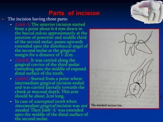 Parts of incision
The incision having three parts:
Limb A: The anterior incision started
from a point about 6.4 mm down in
the buccal sulcus approximately at the
junction of posterior and middle third
of the second molar, passes upwards
extended upto the distobuccal angel of
the second molar at the gingival
margin for a distance of 1-2cm.
Limb B: It was carried along the
gingival crevice of the third molar
extending upto the middle of exposed
distal surface of the tooth.
Limb C: Started from a point where
intermediate gingival incision ended
and was carried laterally towards the
cheek at mucosal depth. This arm
should be about 2cm long.
In case of unerupted tooth when
intermediate gingival incision was not
needed. Then limb' A' was extended
upto the middle of the distal surface of
the second molar.
 