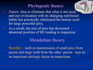 Nature tries to eliminate that what is not used,
and our civilization with its changing nutritional
habits has practically eliminated the human need
for large powerful jaws.
As a result, the size of jaws has decreased -
abnormal position of M3 leading to impaction
Phylogenic theory
Heredity – such as transmission of small jaws from
parent and large teeth from the other parent– may be
an important etiologic factor in impactions.
Mendelian theory
 