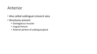 Anterior
• Also called sublingual crescent area
• Structures present
• Genioglossus muscles
• Lingual frenum
• Anterior portion of sublingual gland
 