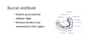 Buccal vestibule
• Extend up to external
oblique ridge.
• Denture borders may
overextend in this region
 
