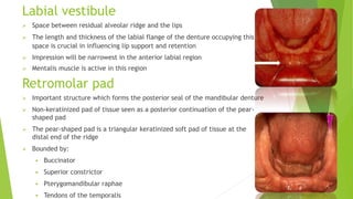 Labial vestibule
 Space between residual alveolar ridge and the lips
 The length and thickness of the labial flange of the denture occupying this
space is crucial in influencing lip support and retention
 Impression will be narrowest in the anterior labial region
 Mentalis muscle is active in this region
 Important structure which forms the posterior seal of the mandibular denture
 Non-keratinized pad of tissue seen as a posterior continuation of the pear-
shaped pad
 The pear-shaped pad is a triangular keratinized soft pad of tissue at the
distal end of the ridge
 Bounded by:
 Buccinator
 Superior constrictor
 Pterygomandibular raphae
 Tendons of the temporalis
Retromolar pad
 
