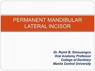 PERMANENT MANDIBULAR 
LATERAL INCISOR 
Dr. Ramil B. Simsuangco 
Oral Anatomy Professor 
College of Dentistry 
Manila Central University 
 