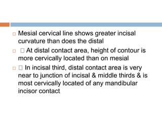  Mesial cervical line shows greater incisal
curvature than does the distal
 At distal contact area, height of contour is
more cervically located than on mesial
 In incisal third, distal contact area is very
near to junction of incisal & middle thirds & is
most cervically located of any mandibular
incisor contact
 