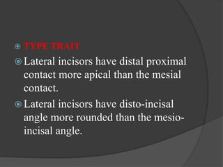  TYPE TRAIT
 Lateral incisors have distal proximal
contact more apical than the mesial
contact.
 Lateral incisors have disto-incisal
angle more rounded than the mesio-
incisal angle.
 