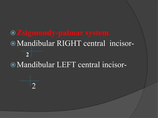 Zsigmondy-palmar system
Mandibular RIGHT central incisor-
2
Mandibular LEFT central incisor-
2
 