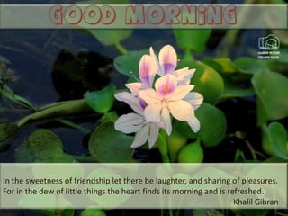 Good morning

In the sweetness of friendship let there be laughter, and sharing of pleasures.
For in the dew of little things the heart finds its morning and is refreshed.
Khalil Gibran

 