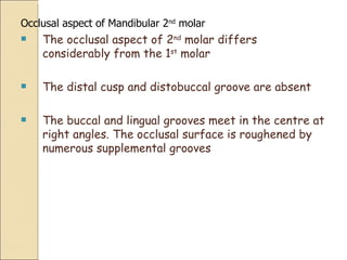 Occlusal aspect of Mandibular 2 nd  molar The occlusal aspect of 2 nd  molar differs considerably from the 1 st  molar The distal cusp and distobuccal groove are absent The buccal and lingual grooves meet in the centre at right angles. The occlusal surface is roughened by numerous supplemental grooves 