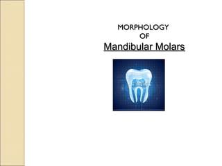 MORPHOLOGYMORPHOLOGY
OFOF
Mandibular MolarsMandibular Molars
 