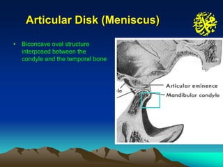 Articular Disk (Meniscus)

• Biconcave oval structure
  interposed between the
  condyle and the temporal bone
 