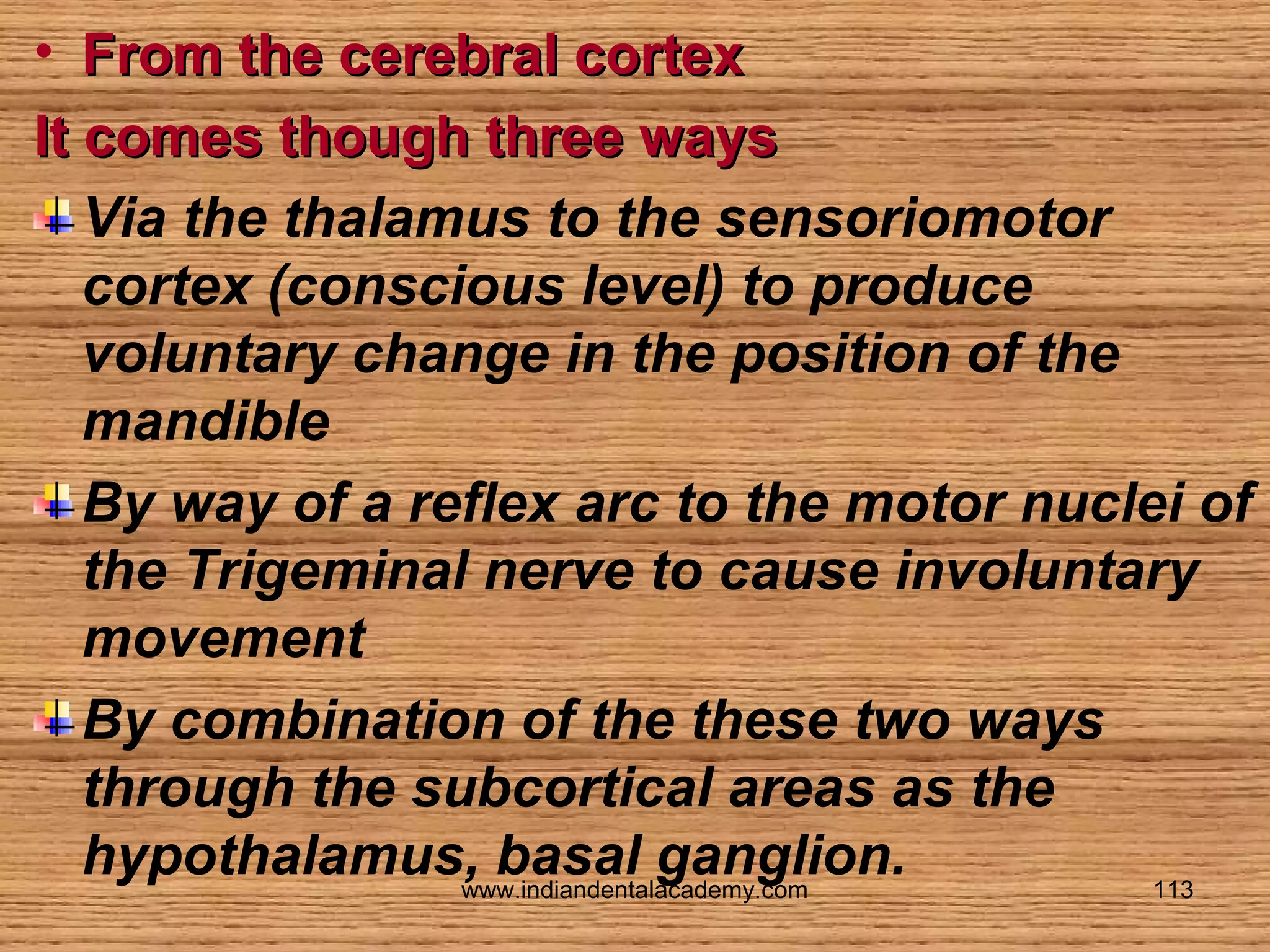 • From the cerebral cortex
It comes though three ways
Via the thalamus to the sensoriomotor
cortex (conscious level) to produce
voluntary change in the position of the
mandible
By way of a reflex arc to the motor nuclei of
the Trigeminal nerve to cause involuntary
movement
By combination of the these two ways
through the subcortical areas as the
hypothalamus, basal ganglion.
www.indiandentalacademy.com
113

 