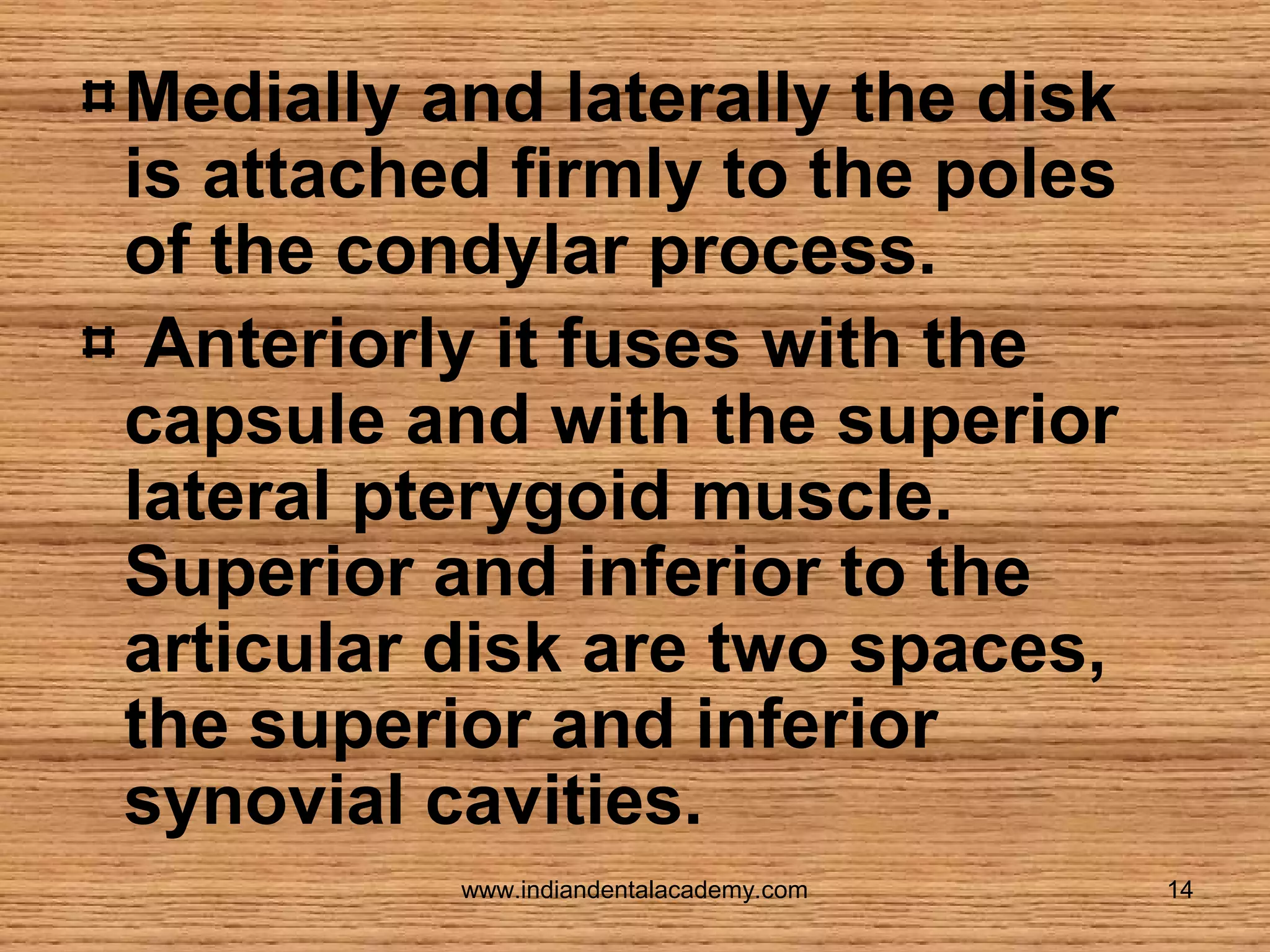 Medially and laterally the disk
is attached firmly to the poles
of the condylar process.
Anteriorly it fuses with the
capsule and with the superior
lateral pterygoid muscle.
Superior and inferior to the
articular disk are two spaces,
the superior and inferior
synovial cavities.
www.indiandentalacademy.com

14

 