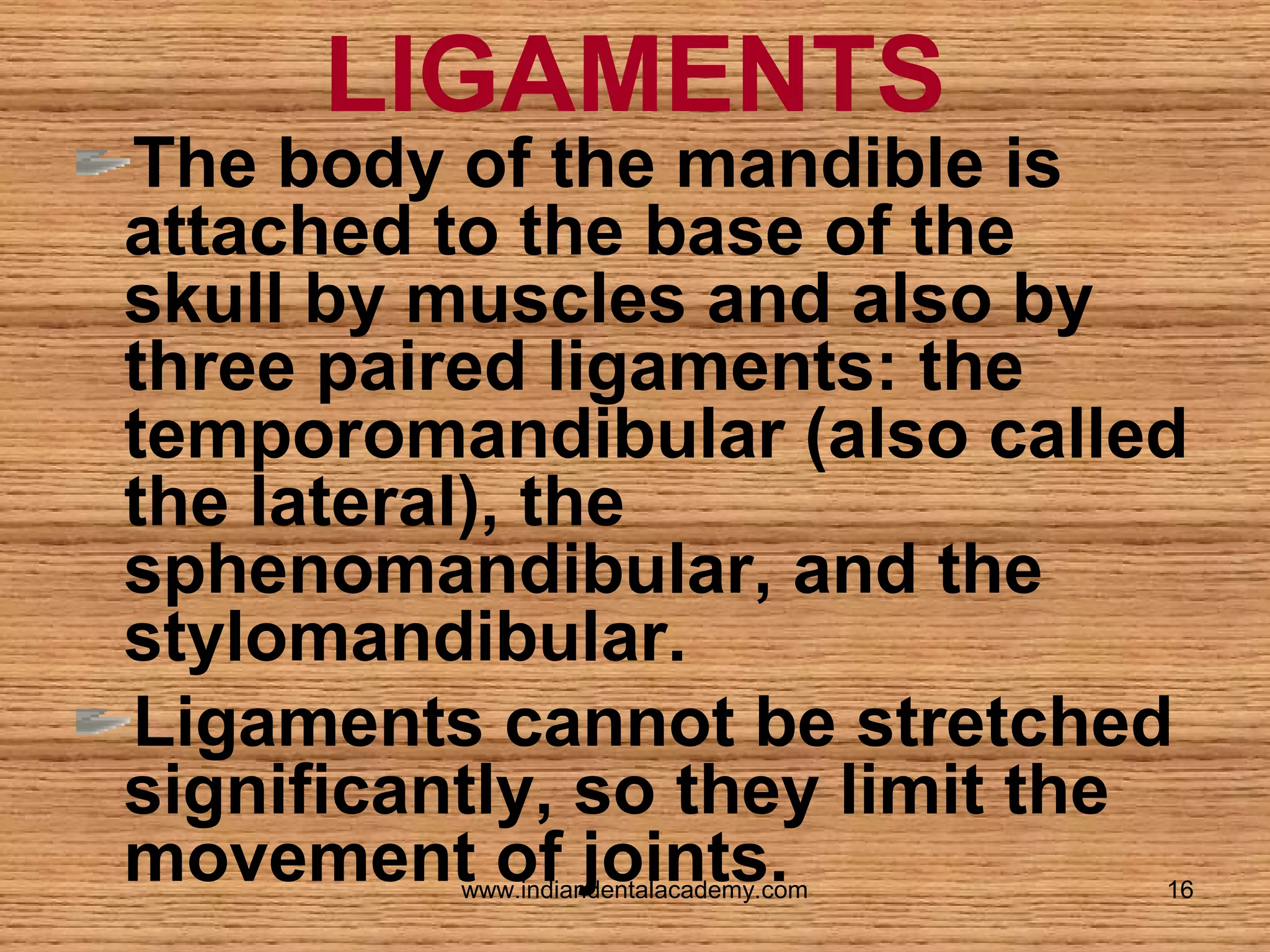 LIGAMENTS

The body of the mandible is
attached to the base of the
skull by muscles and also by
three paired ligaments: the
temporomandibular (also called
the lateral), the
sphenomandibular, and the
stylomandibular.
Ligaments cannot be stretched
significantly, so they limit the
movement of joints.
www.indiandentalacademy.com

16

 