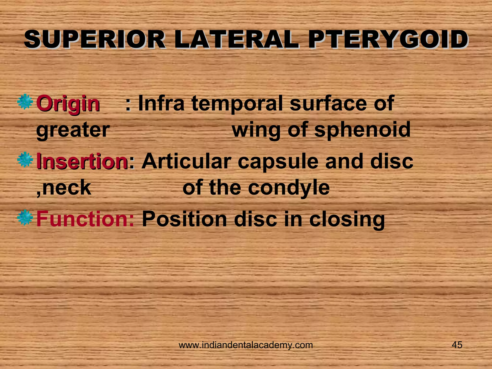 SUPERIOR LATERAL PTERYGOID
Origin : Infra temporal surface of
greater
wing of sphenoid
Insertion: Articular capsule and disc
,neck
of the condyle
Function: Position disc in closing

www.indiandentalacademy.com

45

 