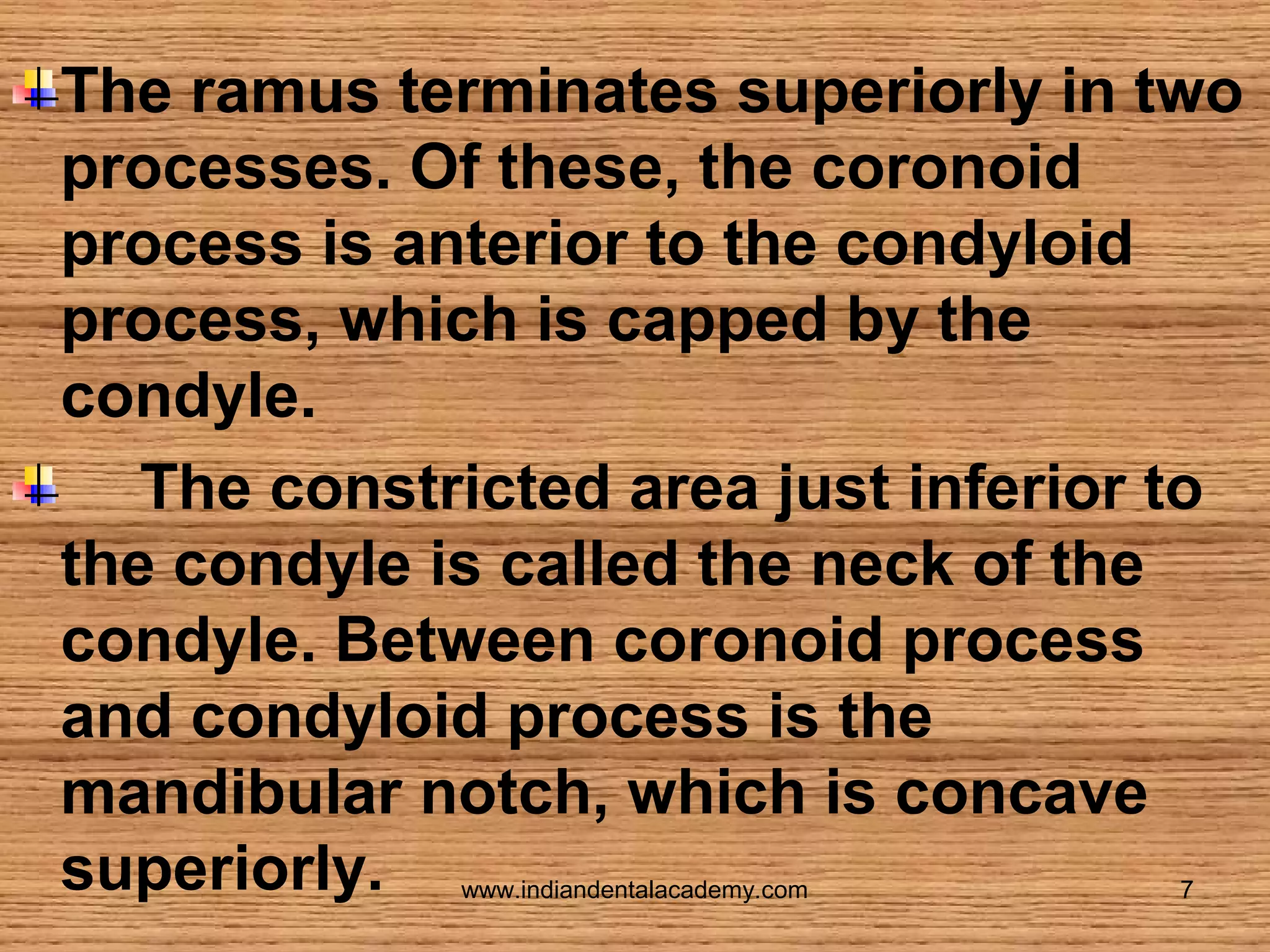 The ramus terminates superiorly in two
processes. Of these, the coronoid
process is anterior to the condyloid
process, which is capped by the
condyle.
The constricted area just inferior to
the condyle is called the neck of the
condyle. Between coronoid process
and condyloid process is the
mandibular notch, which is concave
superiorly.
www.indiandentalacademy.com

7

 