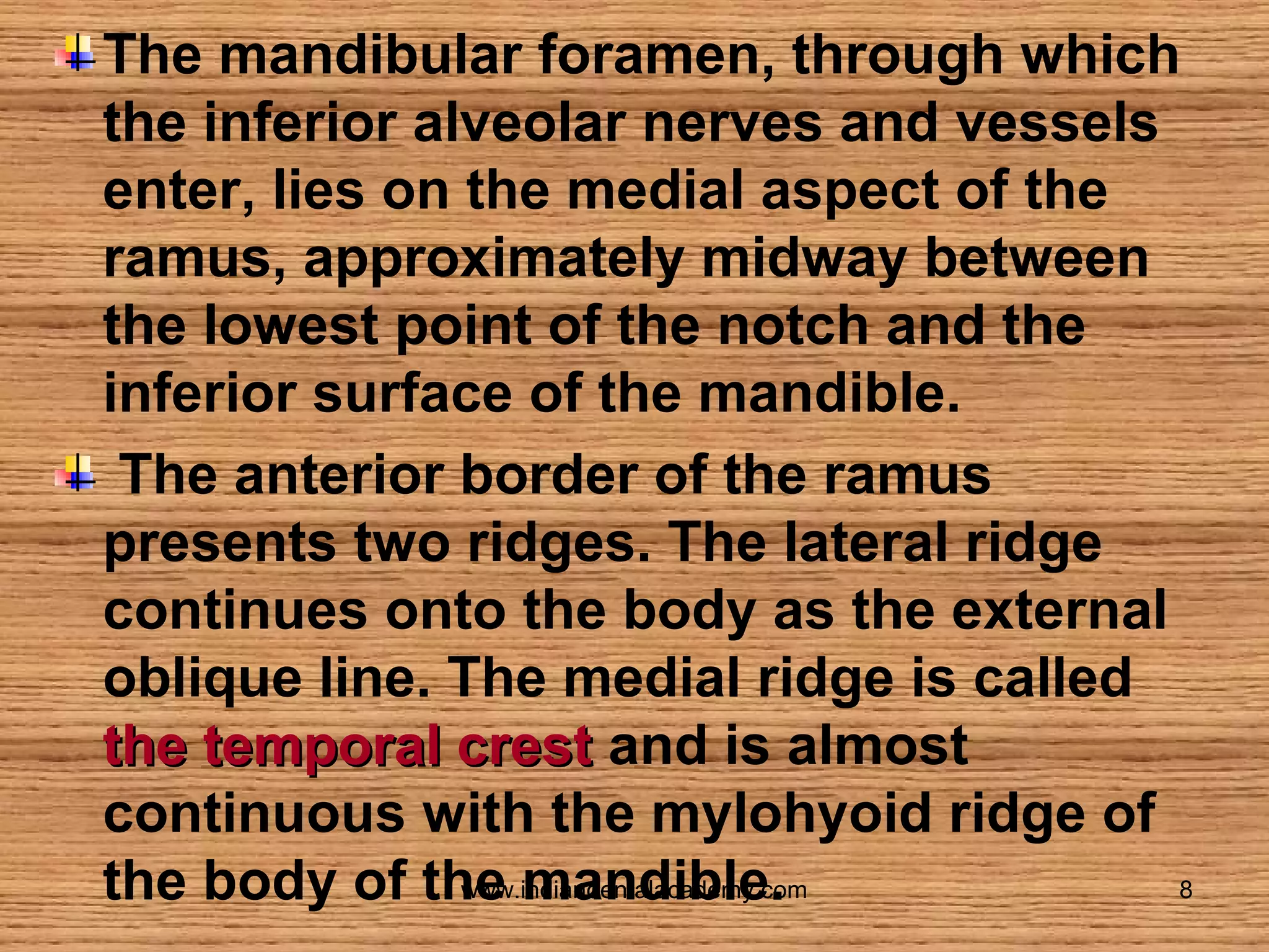 The mandibular foramen, through which
the inferior alveolar nerves and vessels
enter, lies on the medial aspect of the
ramus, approximately midway between
the lowest point of the notch and the
inferior surface of the mandible.
The anterior border of the ramus
presents two ridges. The lateral ridge
continues onto the body as the external
oblique line. The medial ridge is called
the temporal crest and is almost
continuous with the mylohyoid ridge of
www.indiandentalacademy.com
8
the body of the mandible.

 