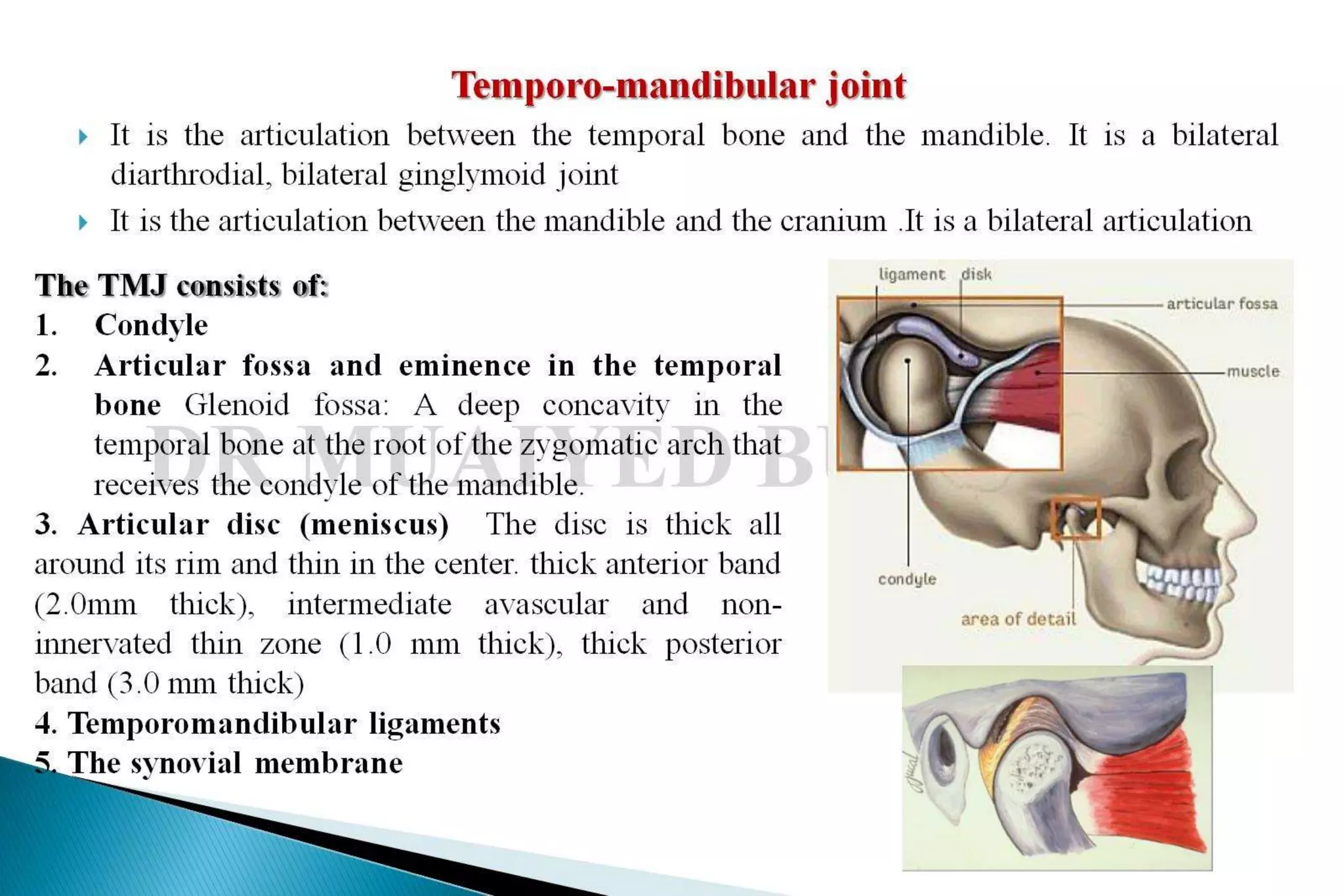 Mandibular movements | PPTX