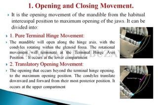 Mandibular movements