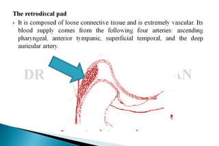 Mandibular movements
