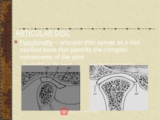 ARTICULAR DISC
Functionally – articular disc serves as a non
ossiﬁed bone that permits the complex
movements of the joint.
SAGITTAL PLANE ANTERIOR VIEW
 