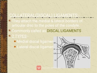 COLLATERAL(DISCAL) LIGAMENTS:-
They attach the medial & lateral borders of
articular disc to the poles of the condyle.
Commonly called as DISCAL LIGAMENTS.
2 TYPES:-
Medial discal ligament
Lateral discal ligament
 