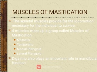 MUSCLES OF MASTICATION
The skeletal muscles provide for the locomotion
necessary for the individual to survive.
4 muscles make up a group called Muscles of
Mastication
Masseter
Temporalis
Medial Pterygoid
Lateral Pterygoid
Digastric also plays an important role in mandibular
function.
 