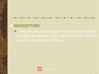 4) NOCICEPTORS-
They are sensory receptors that are stimulated
by injury & transmit injury information to CNS by
way of afferent nerve ﬁbers.
 