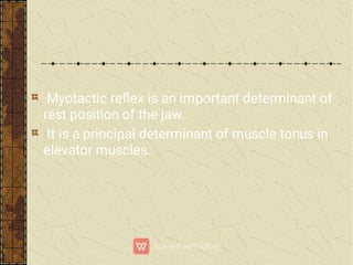 Myotactic reﬂex is an important determinant of
rest position of the jaw.
It is a principal determinant of muscle tonus in
elevator muscles.
 