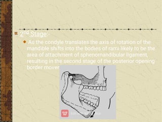 2nd Stage:-
As the condyle translates the axis of rotation of the
mandible shifts into the bodies of rami likely to be the
area of attachment of sphenomandibular ligament,
resulting in the second stage of the posterior opening
border movement.
 