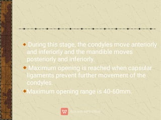 During this stage, the condyles move anteriorly
and inferiorly and the mandible moves
posteriorly and inferiorly.
Maximum opening is reached when capsular
ligaments prevent further movement of the
condyles.
Maximum opening range is 40-60mm.
 