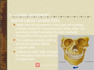 2) LATERAL MOVEMENT:-
Sagittal Lateral Condylar Path:-
When lateral movement is executed the working
condyle rotates & moves outward while, other non
working condyle translates forward, medially
downward orbiting around the rotating working condyle.
The orbiting condylar path is
known as sagittal lateral
condylar path.
Lateral condylar path is longer
& more steep than the protrusive
condylar path.
 