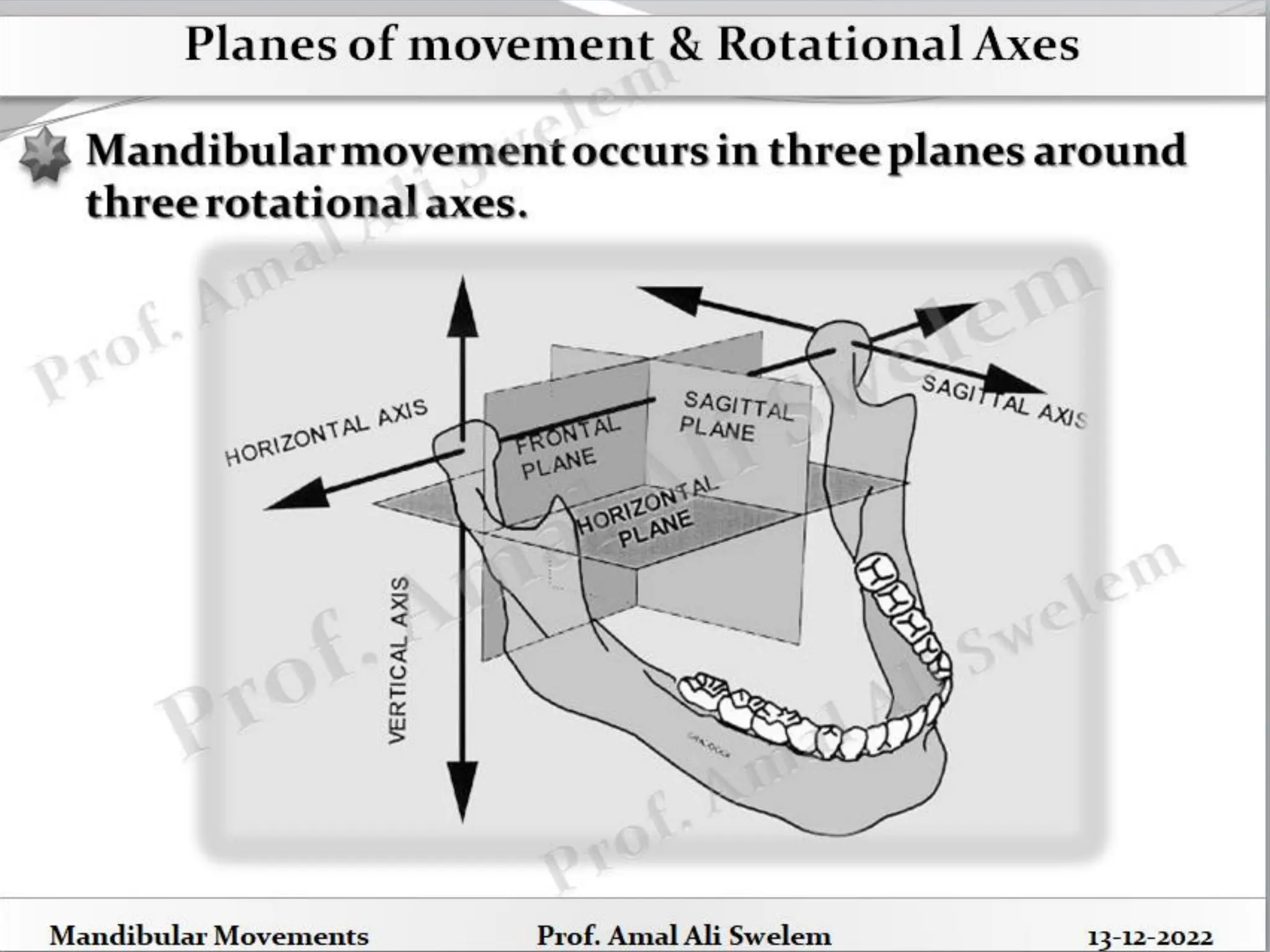 Mandibular Movements Handouts- Prof. Amal Ali Swelem.pdf | Free Download