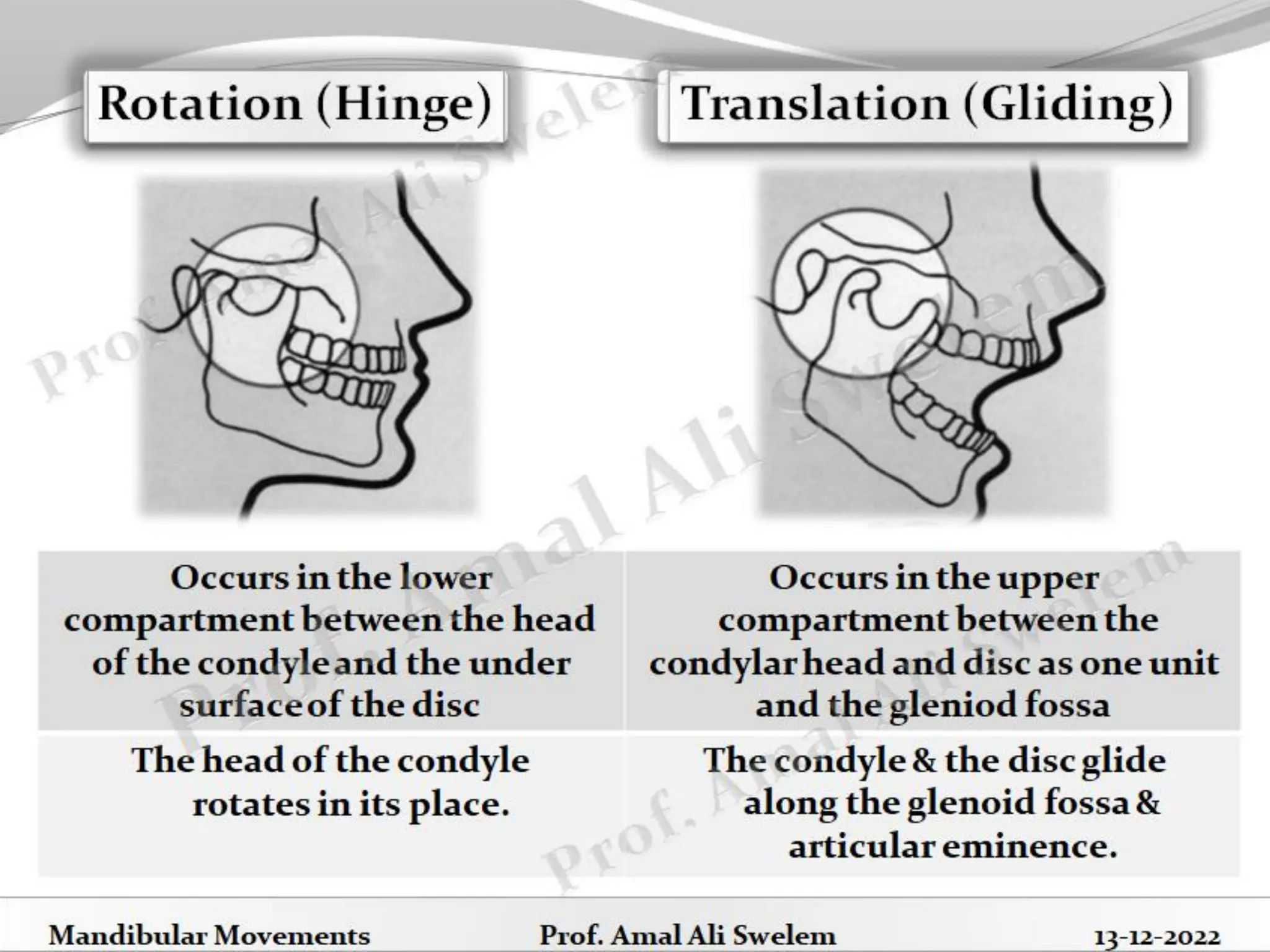 Mandibular Movements Handouts- Prof. Amal Ali Swelem.pdf