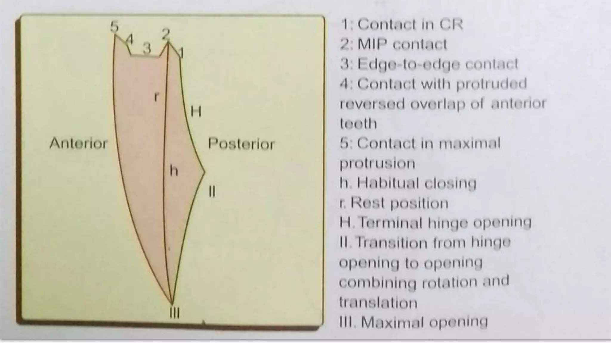 Mandiblar Rpd Mandibular movements in rpd | PPTX
