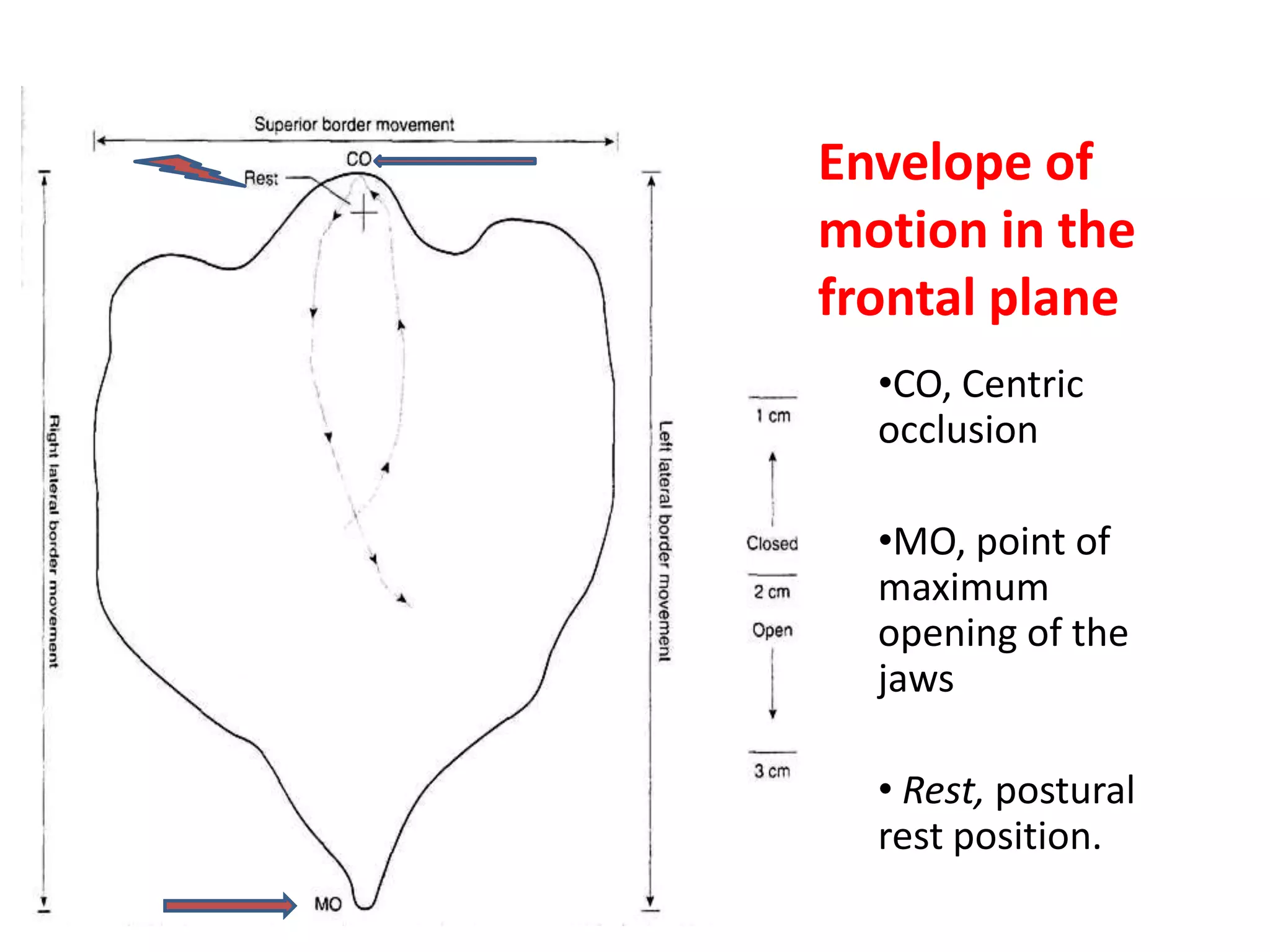 Mandibular Movements | PPTX