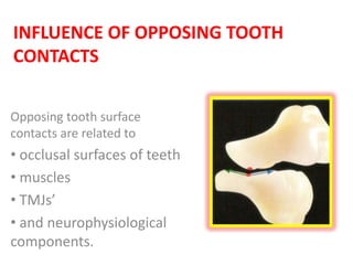 INFLUENCE OF OPPOSING TOOTH
CONTACTS
Opposing tooth surface
contacts are related to
• occlusal surfaces of teeth
• muscles
• TMJs’
• and neurophysiological
components.
 