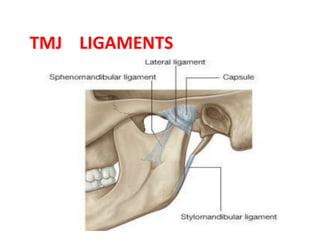 TMJ LIGAMENTS
 