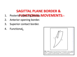 SAGITTAL PLANE BORDER &
FUNCTIONAL MOVEMENTS:-1. Posterior opening border.
2. Anterior opening border.
3. Superior contact border.
4. Functional.
 
