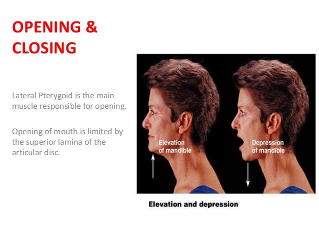 Mandibular Movements