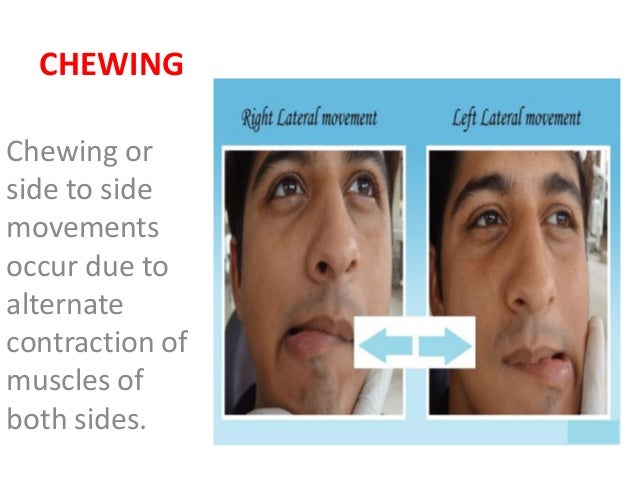 Mandibular Movements