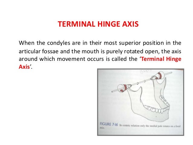 Mandibular Movements