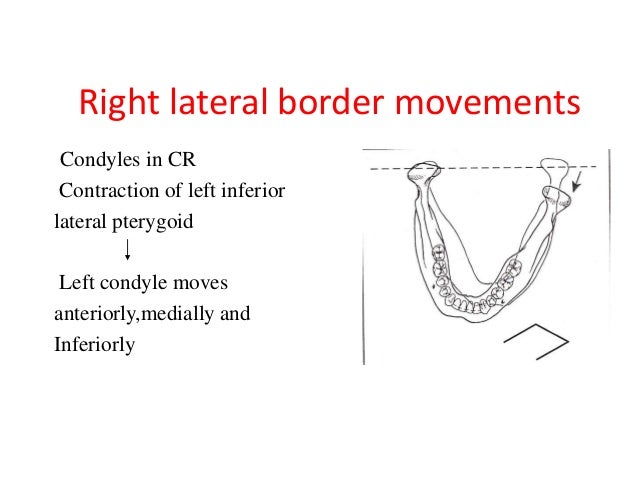 Mandibular Movements