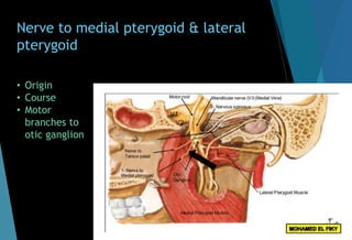 Nerve to medial pterygoid & lateral
pterygoid
• Origin
• Course
• Motor
branches to
otic ganglion
 