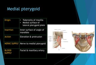 Medial pterygoid
Origin • Tuberosity of maxilla
• Medial surface of
lateral pterygoid plate
Insertion Inner surface of angle of
mandible
Action Elevation & protrusion
NERVE SUPPLY Nerve to medial pterygoid
BLOOD
SUPPLY
Facial & maxillary artery
 