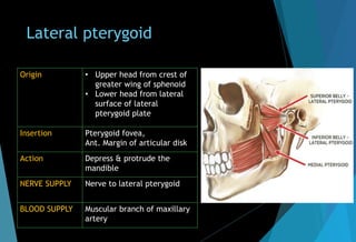 Lateral pterygoid
Origin • Upper head from crest of
greater wing of sphenoid
• Lower head from lateral
surface of lateral
pterygoid plate
Insertion Pterygoid fovea,
Ant. Margin of articular disk
Action Depress & protrude the
mandible
NERVE SUPPLY Nerve to lateral pterygoid
BLOOD SUPPLY Muscular branch of maxillary
artery
 