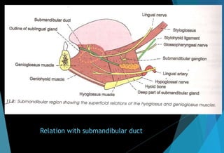 Relation with submandibular duct
 