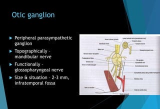 Otic ganglion
 Peripheral parasympathetic
ganglion
 Topographically –
mandibular nerve
 Functionally –
glossopharyngeal nerve
 Size & situation – 2-3 mm,
infratemporal fossa
 