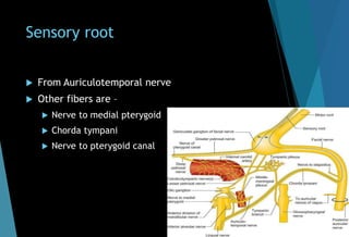 Sensory root
 From Auriculotemporal nerve
 Other fibers are –
 Nerve to medial pterygoid
 Chorda tympani
 Nerve to pterygoid canal
 